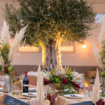 naos-events-medium